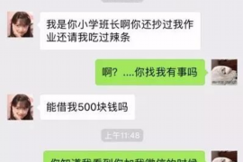 宜城为什么选择专业追讨公司来处理您的债务纠纷？